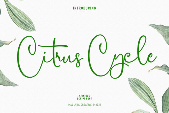 Citrus Cycle Script: A Font That Elevates Your Creative Projects