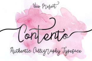 Discover the Elegance of Contento Script