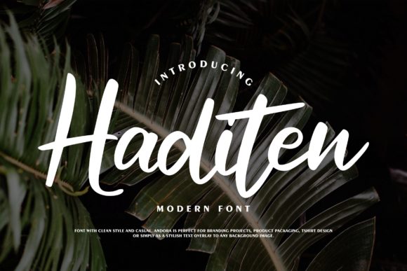 Haditen Script: A Stylish Font for Modern Creativity
